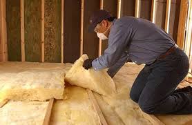 Best Insulation for New Construction  in Prairie Du Chien, WI